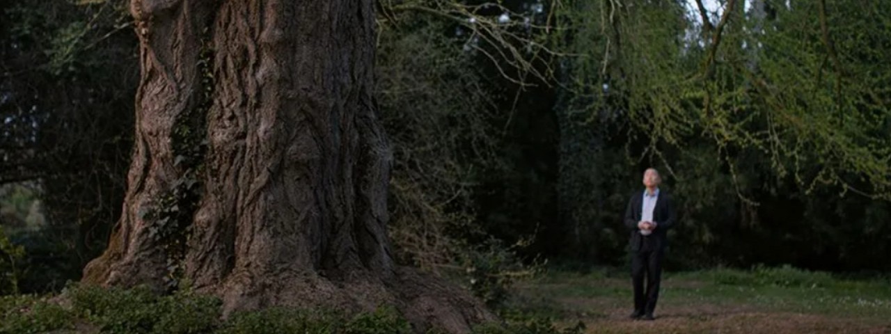 Két magyar film is debütál Velencében – Zacc nélkül 1998.